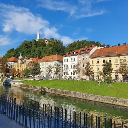 Comfort Studio דירה